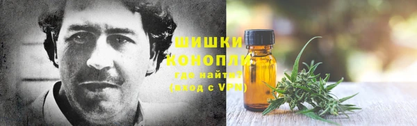 крисы Надым