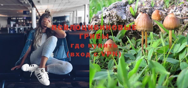 шишки Алексеевка