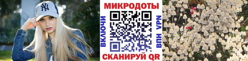 Псилоцибиновые грибы мицелий  Новое Девяткино 